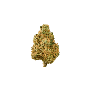Bio Jesus Flower