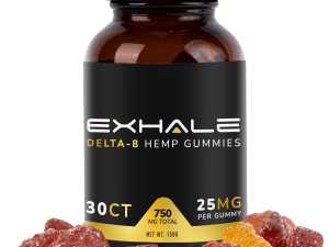CBD Gummies 500mg Jar