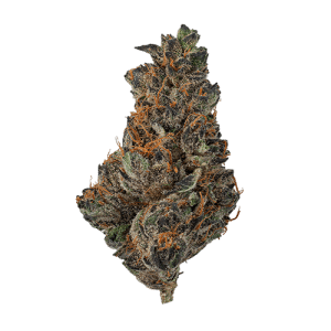 Devil Driver Flower