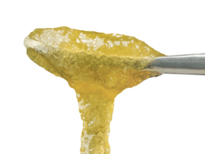 Grape Guava Live Sugar