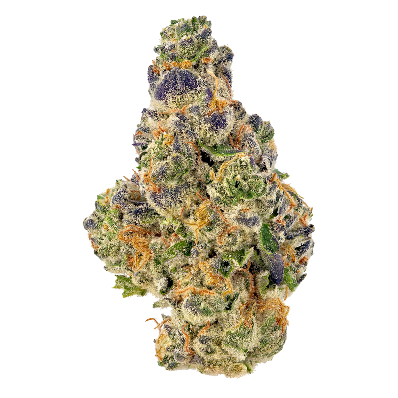 AK Banana Strain for sale in Germany,