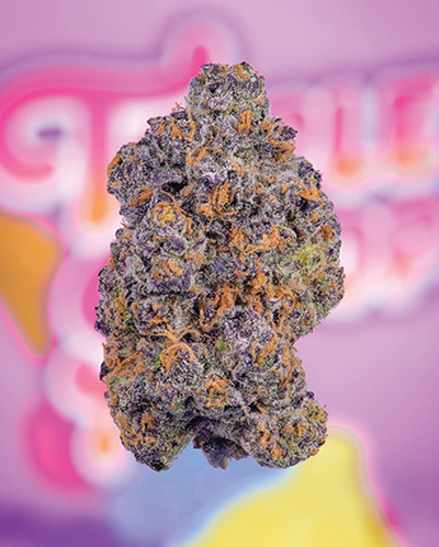 Buy Berner's Cookies Online in Germany