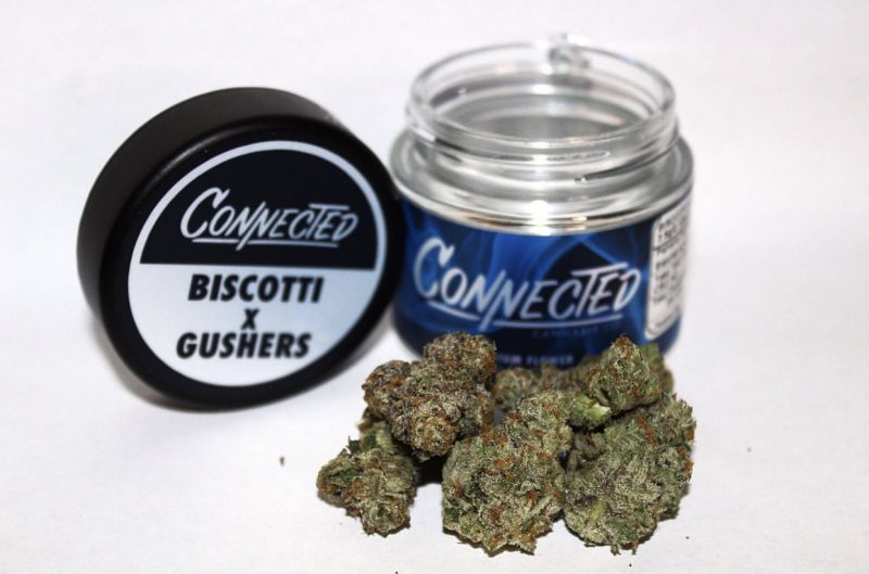 Biscotti x Gushers Indoor,