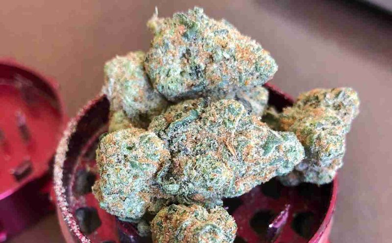 Buy Alaskan Thunderfuck Strain in Germany,