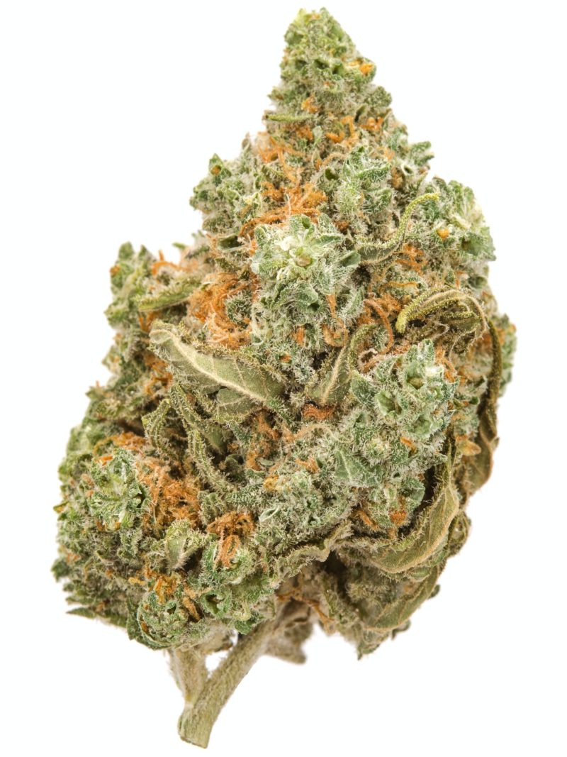 Buy Amnesia Haze Strain in Germany,