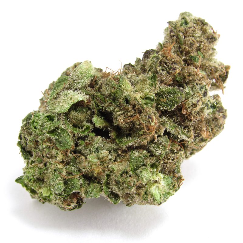 Buy Baby Powder Strain in Germany,