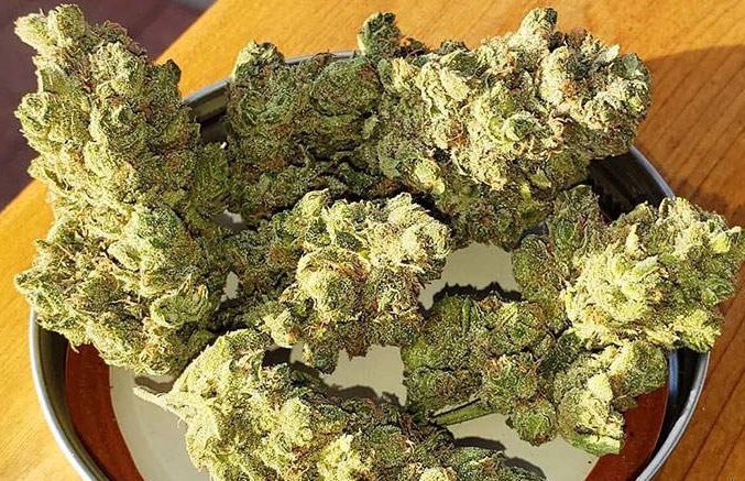 Buy Blue Cheese Kush in Germany,