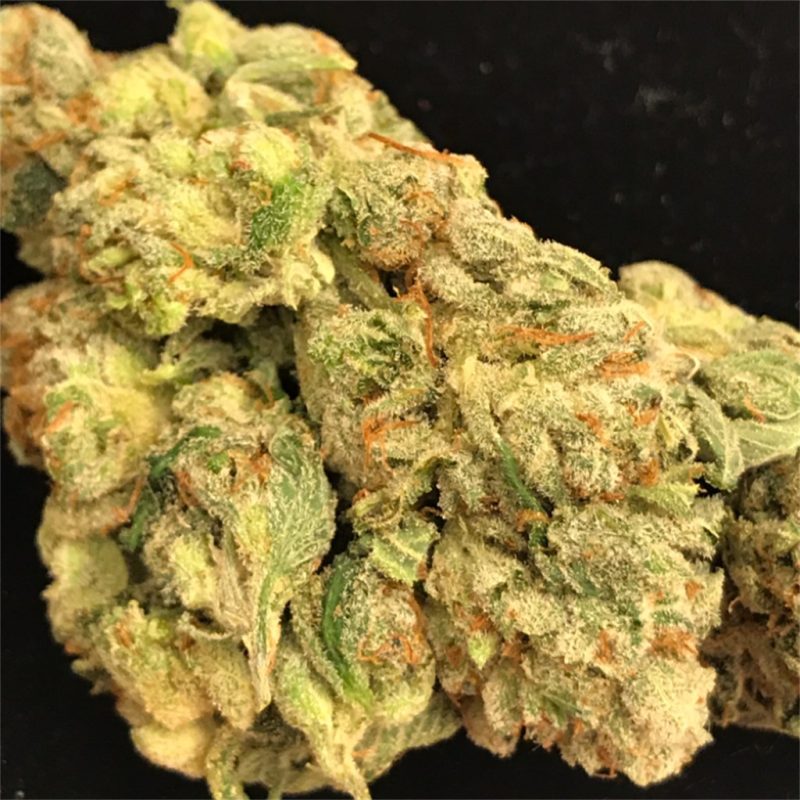 Buy Bruce Banner Strain in Berlin