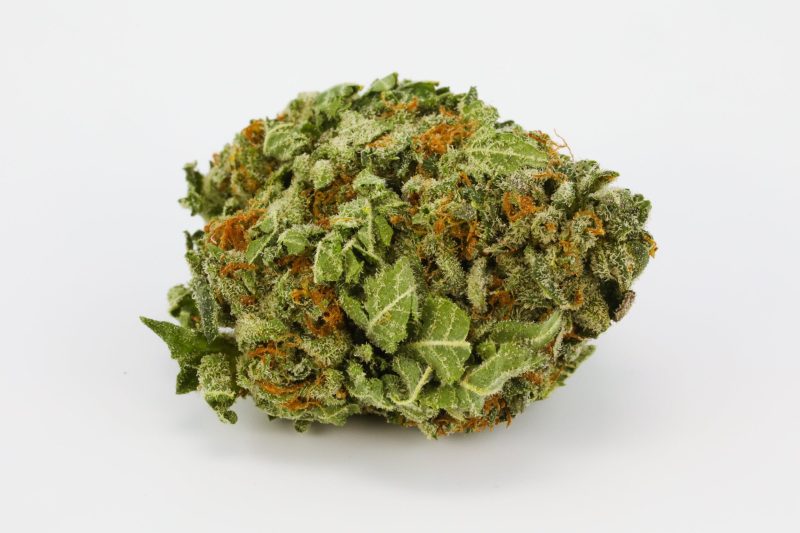 Buy Candyland marijuana strain online,