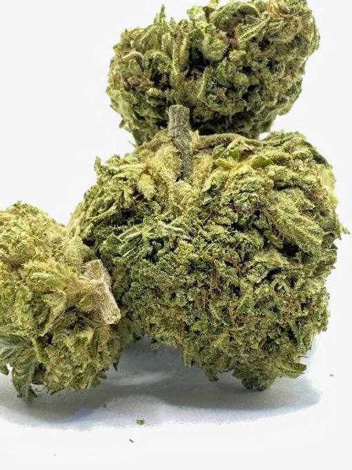 Buy Cheetah Piss Strain,