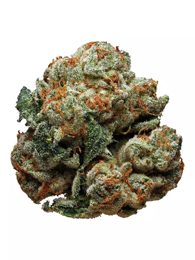 Buy Delahaze strain in Germany,