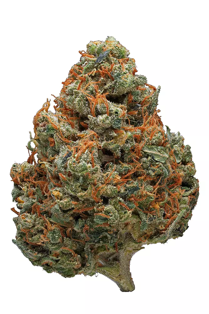 Buy Durban Poison Strain in Germany,