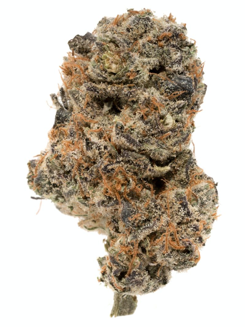 Buy Grape Kush Strain Online,