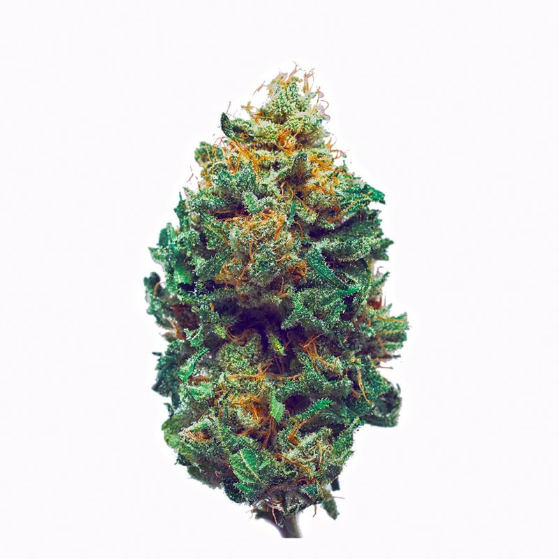 Buy Harlequin Strain In Germany,