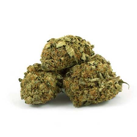 Buy hindu kush strain online,