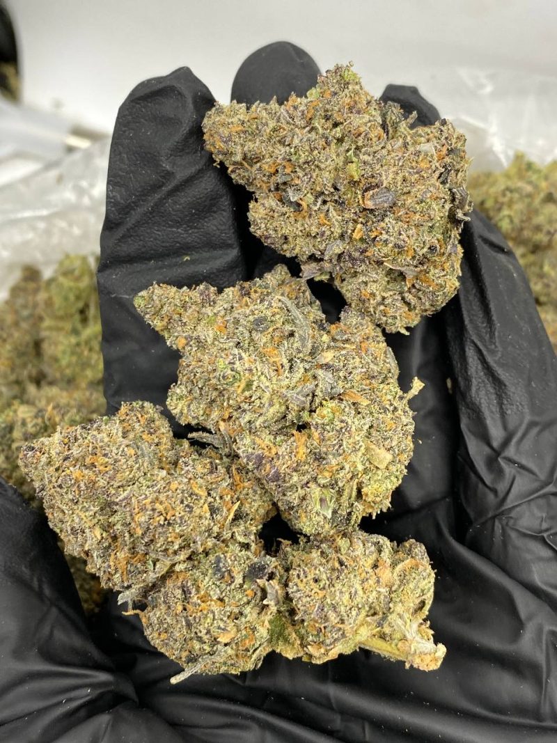 Buy Horchata weed strain,