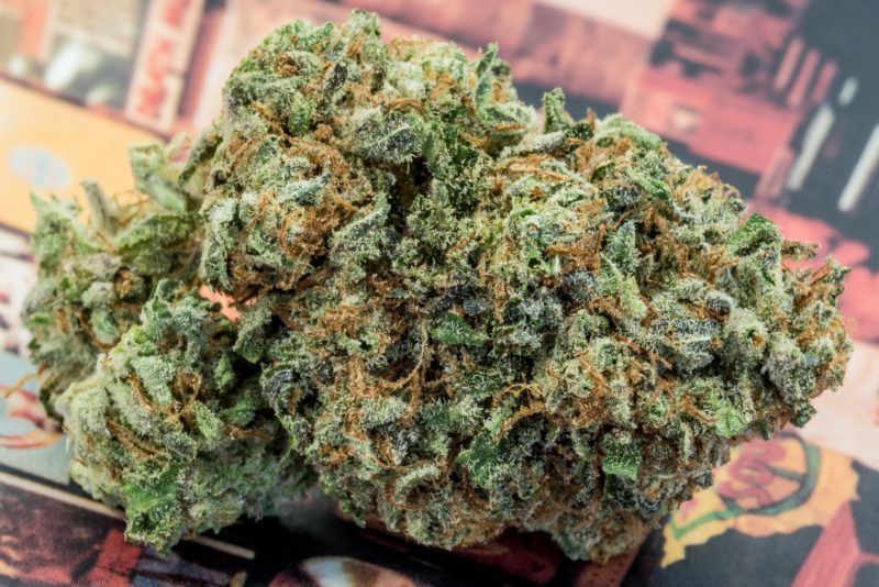 Buy Obama kush strain Germany,