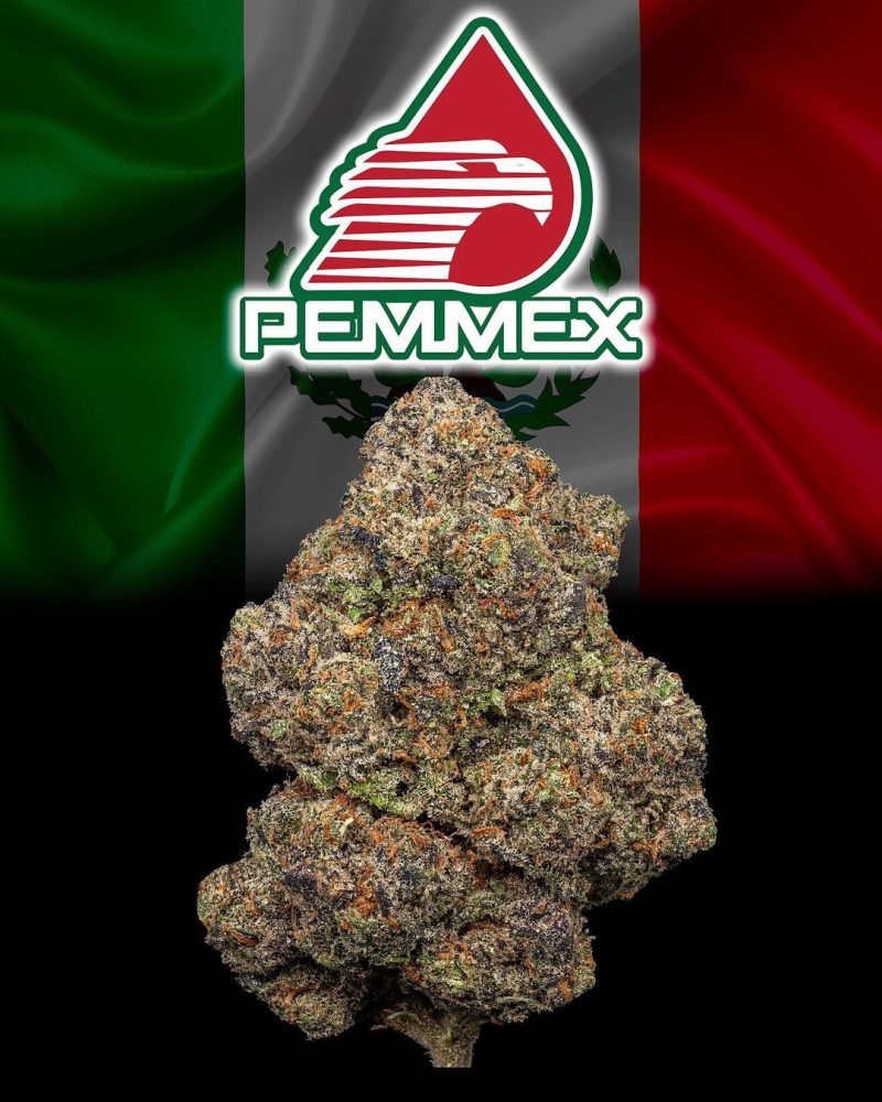 Buy Pemmex Strain in Germany,