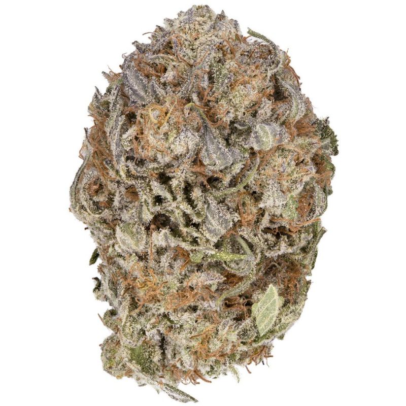 Buy purple pinecone strain,
