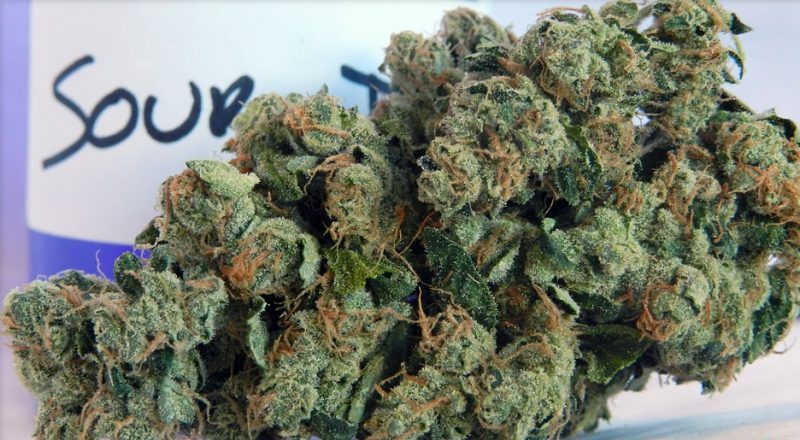 Buy Sour Diesel Strain in Germany,