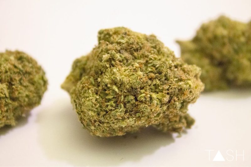 Buy Sweet Haze Strain in Germany,