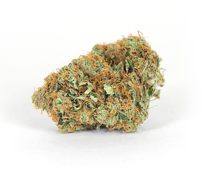 Golden Goat by Irie Genetics,