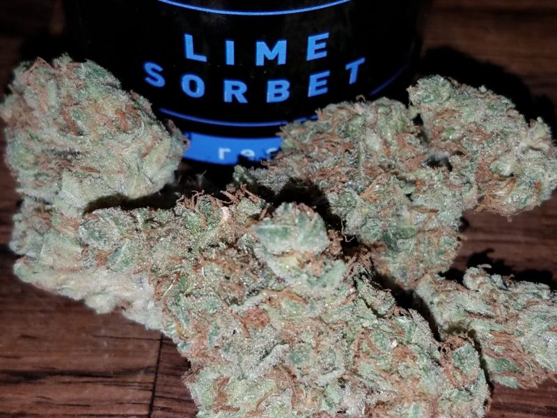 Order Lime sorbet strain in Germany,