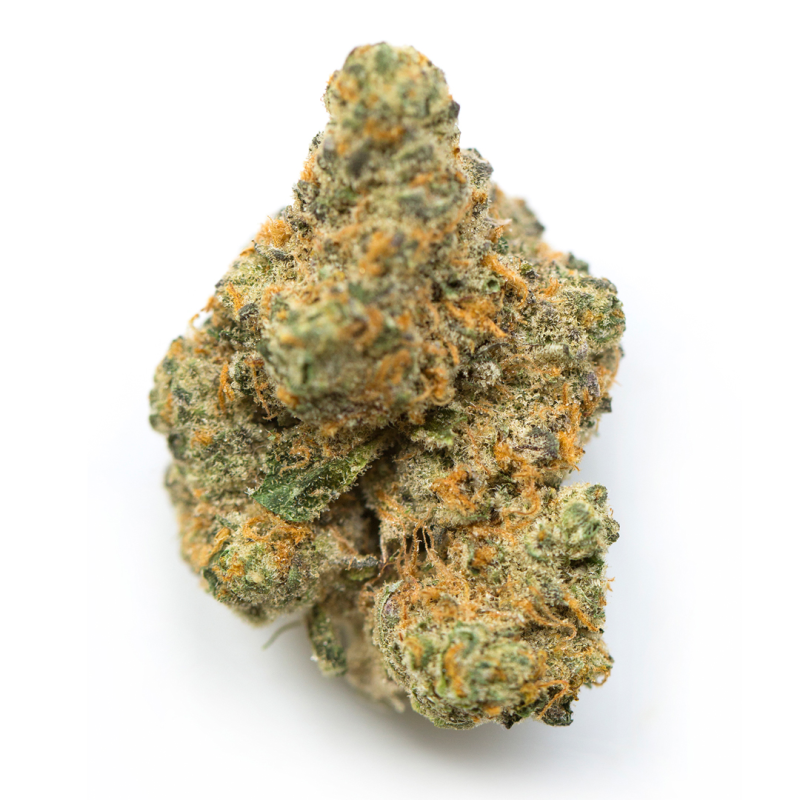 Order Moby dick strain in Germany,
