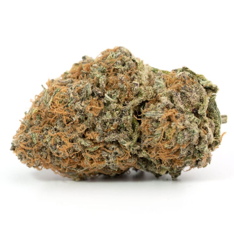 Buy Panama Red Medicinal Marijuana