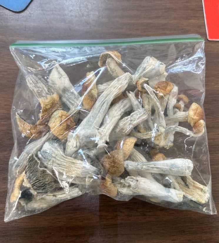 Penis Envy Mushrooms