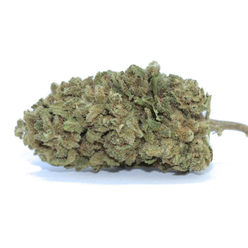 Super skunk strain